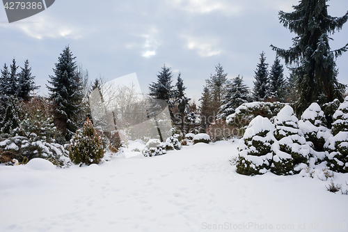 Image of beautiful winter garden covered by snow