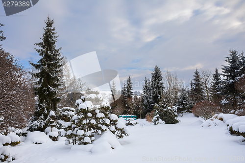 Image of beautiful winter garden covered by snow