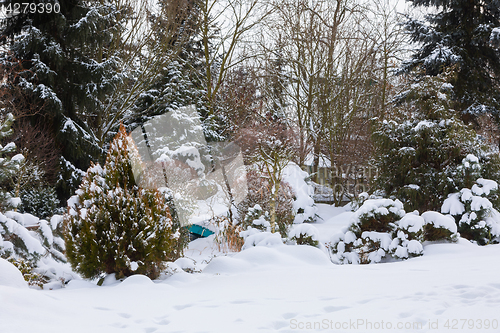 Image of beautiful winter garden covered by snow