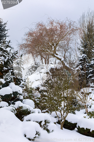 Image of beautiful winter garden covered by snow