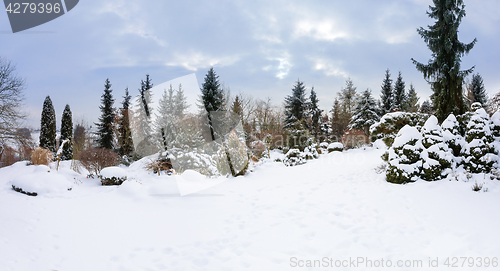 Image of beautiful winter garden covered by snow