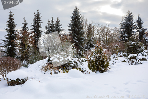 Image of beautiful winter garden covered by snow