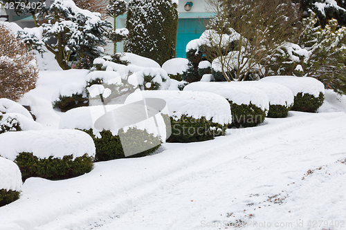 Image of beautiful winter garden covered by snow