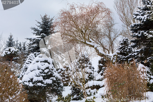 Image of beautiful winter garden covered by snow