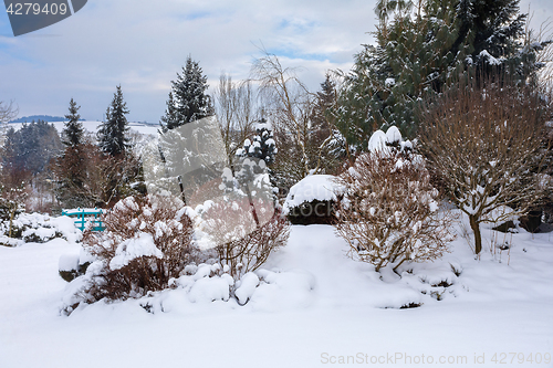 Image of beautiful winter garden covered by snow