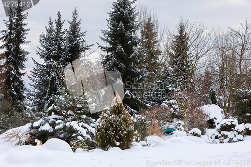 Image of beautiful winter garden covered by snow