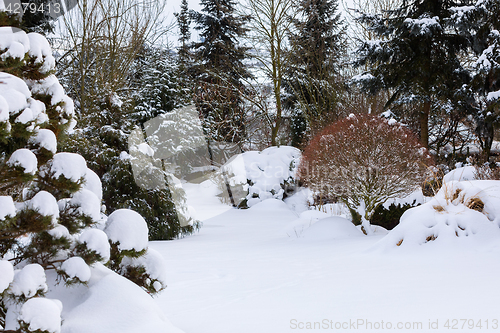 Image of beautiful winter garden covered by snow