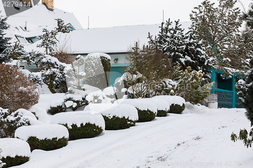 Image of beautiful winter garden covered by snow