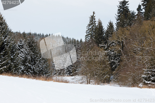 Image of winter landscape Czech Highland