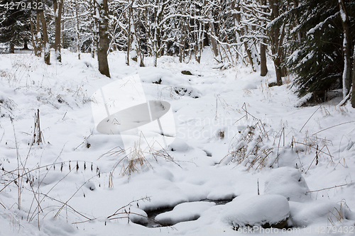 Image of winter landscape with creek covered by snow