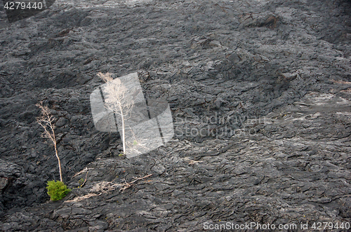 Image of Lava at Hawaii, United States of America