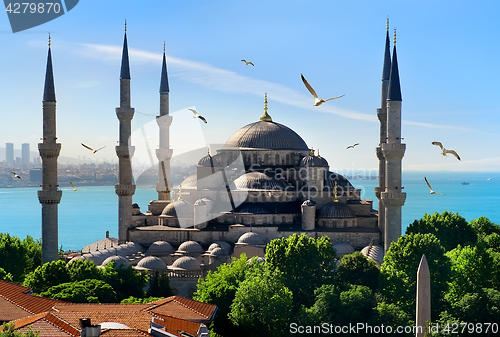 Image of Blue Mosque and Bosphorus