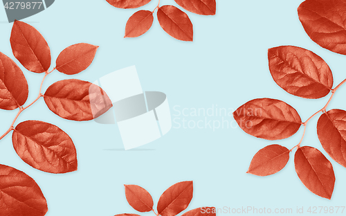 Image of red leaves on blue background