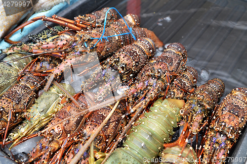 Image of Fresh lobsters sold at night market in Kota Kinabalu