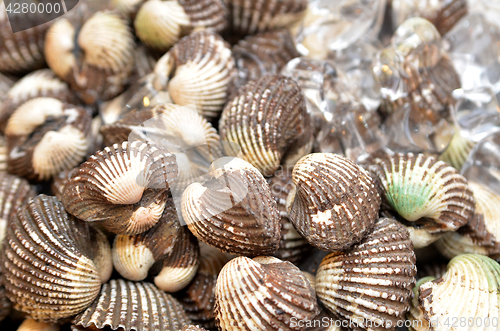 Image of Super big cockles