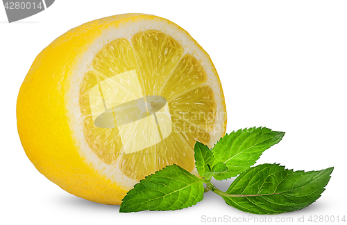 Image of Half lemon and sprig of mint