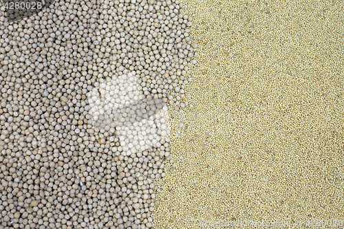 Image of Grains Seeds