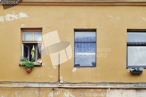 Image of Orange tabby cat laying on the windowsill