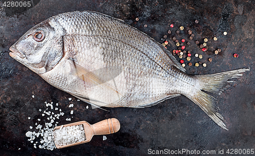 Image of Dorado fish on black pan