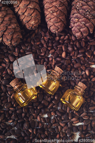 Image of Oil of cedar nuts