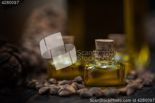 Image of Oil of cedar nuts