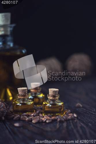 Image of Oil of cedar nuts