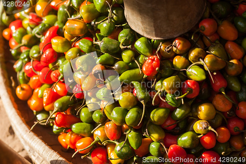 Image of Red, yellow, and green chili peppers