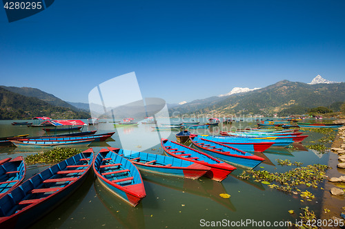 Image of Boats at Fewa Lake, Pokhara
