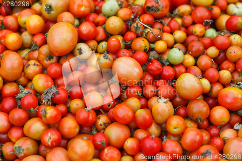 Image of Cherry tomatoes