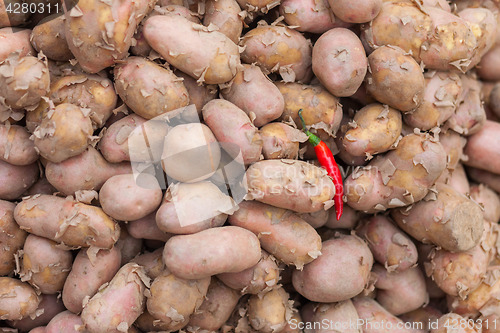 Image of Potatoes and chili pepper