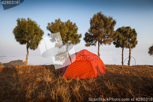 Image of Tent at dawn