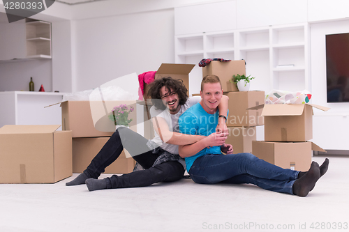 Image of young  gay couple moving  in new house