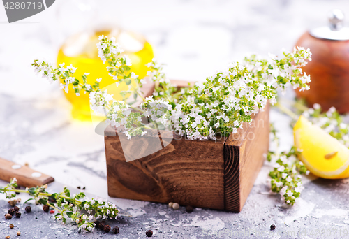 Image of thyme