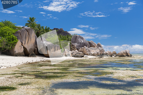 Image of island beach in indian ocean on seychelles