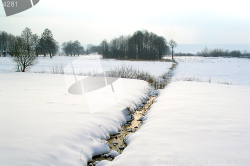 Image of winter - field