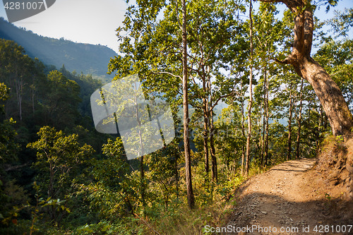 Image of Path to Siddha Cave 