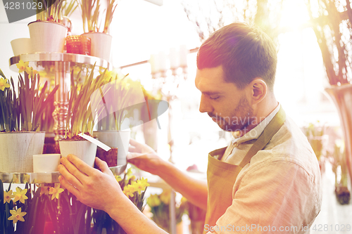 Image of florist man setting flowers at flower shop