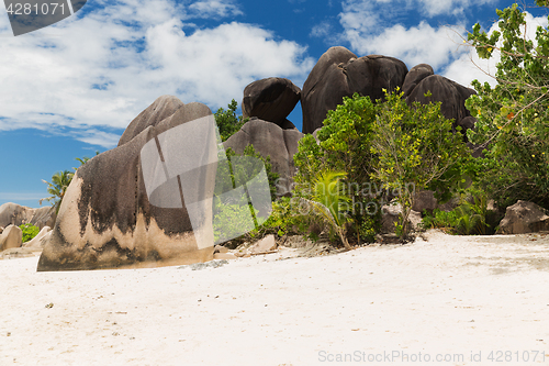 Image of island beach in indian ocean on seychelles