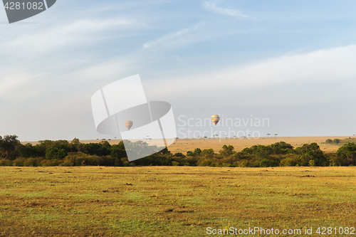 Image of maasai mara national reserve savanna at africa