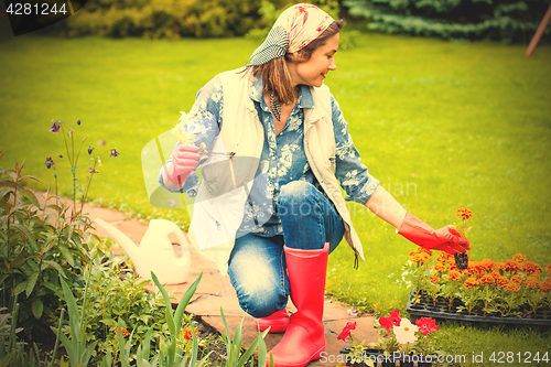 Image of Beautiful smiling middle-aged woman in kerchief planting flowers