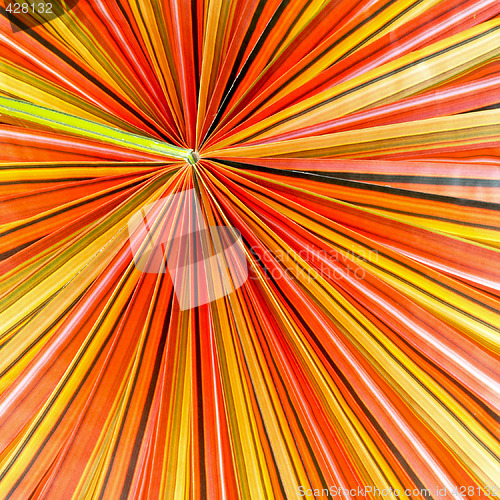 Image of Colorful parasol