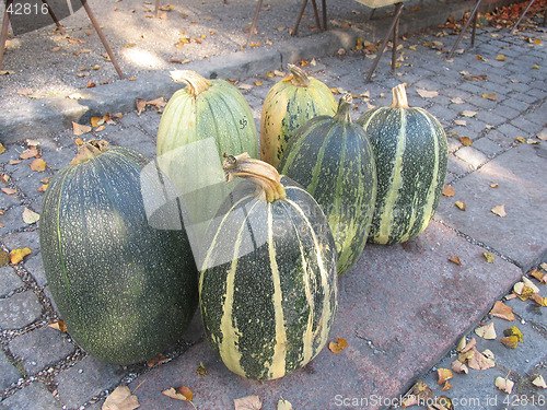 Image of Pumpkins