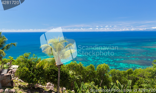 Image of view to indian ocean from island with palm trees