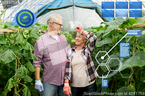 Image of happy senior couple at farm greenhouse