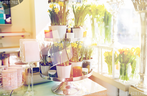 Image of narcissus flowers on stand at flower shop