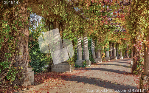 Image of Pergola walkway in park