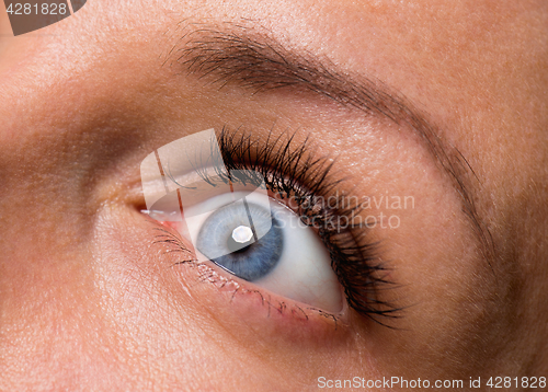 Image of Face woman with eyes and eyelashes