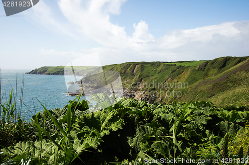 Image of Cornwall, United Kingdom