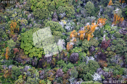 Image of Lava at Hawaii, United States of America