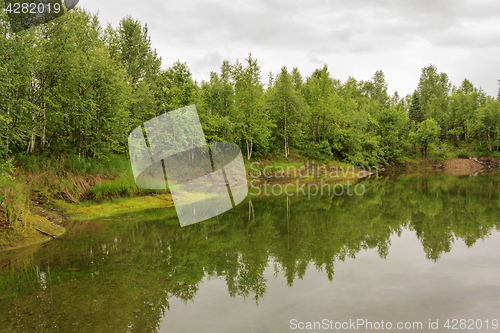 Image of Spilling river in a green forest natural background